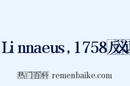 Linnaeus,1758反义词是什么意思的图片